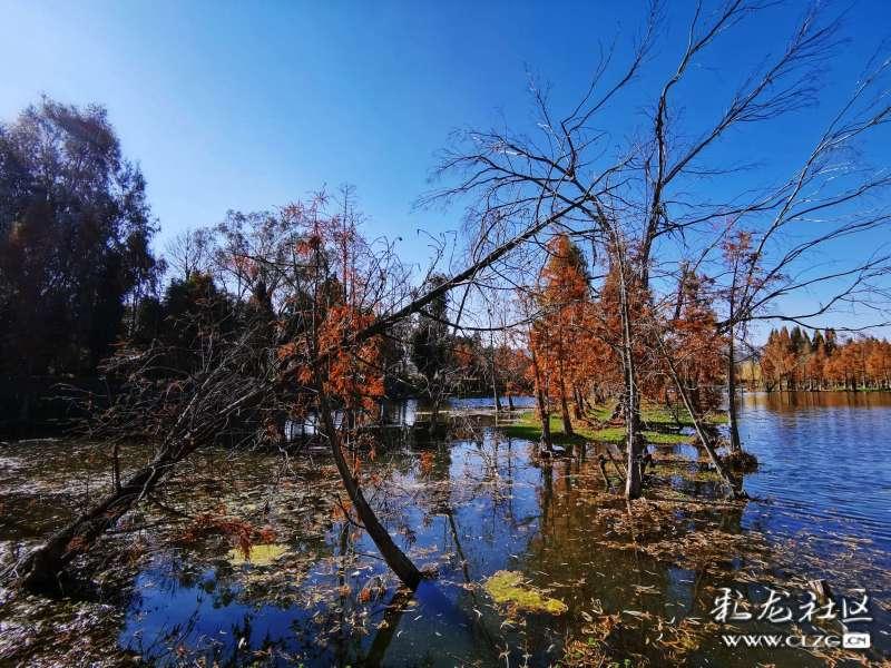 中国恒大，新消息