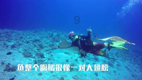 蜡笔小新大逃杀