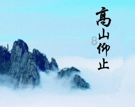 合金装备幸存