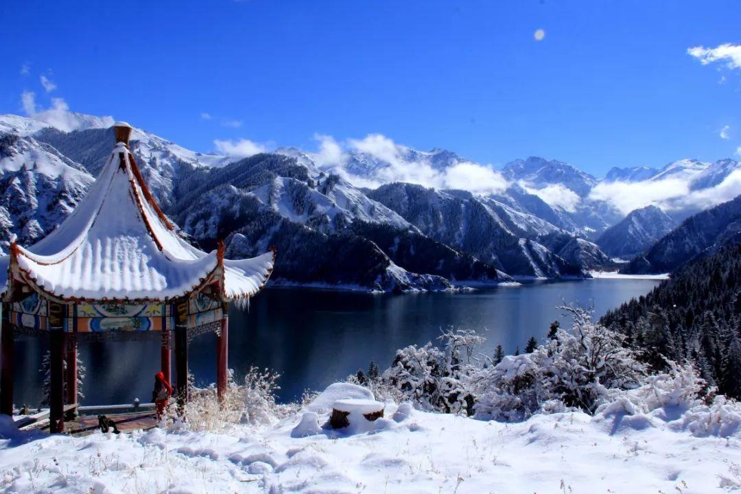 夏日时尚的爱丽